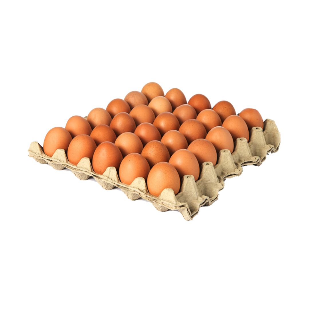 CUBETA DE HUEVOS TIPO B X 30 UND