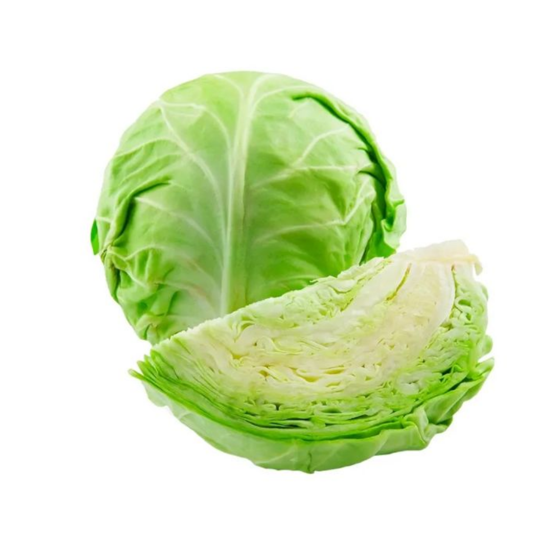 REPOLLO