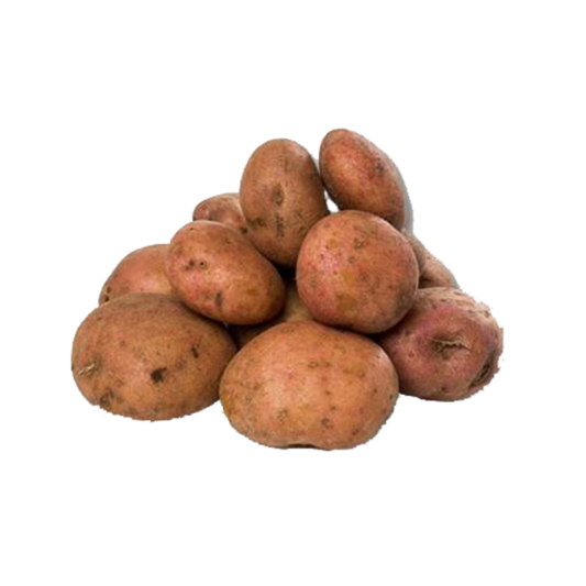 PAPA PASTUSA