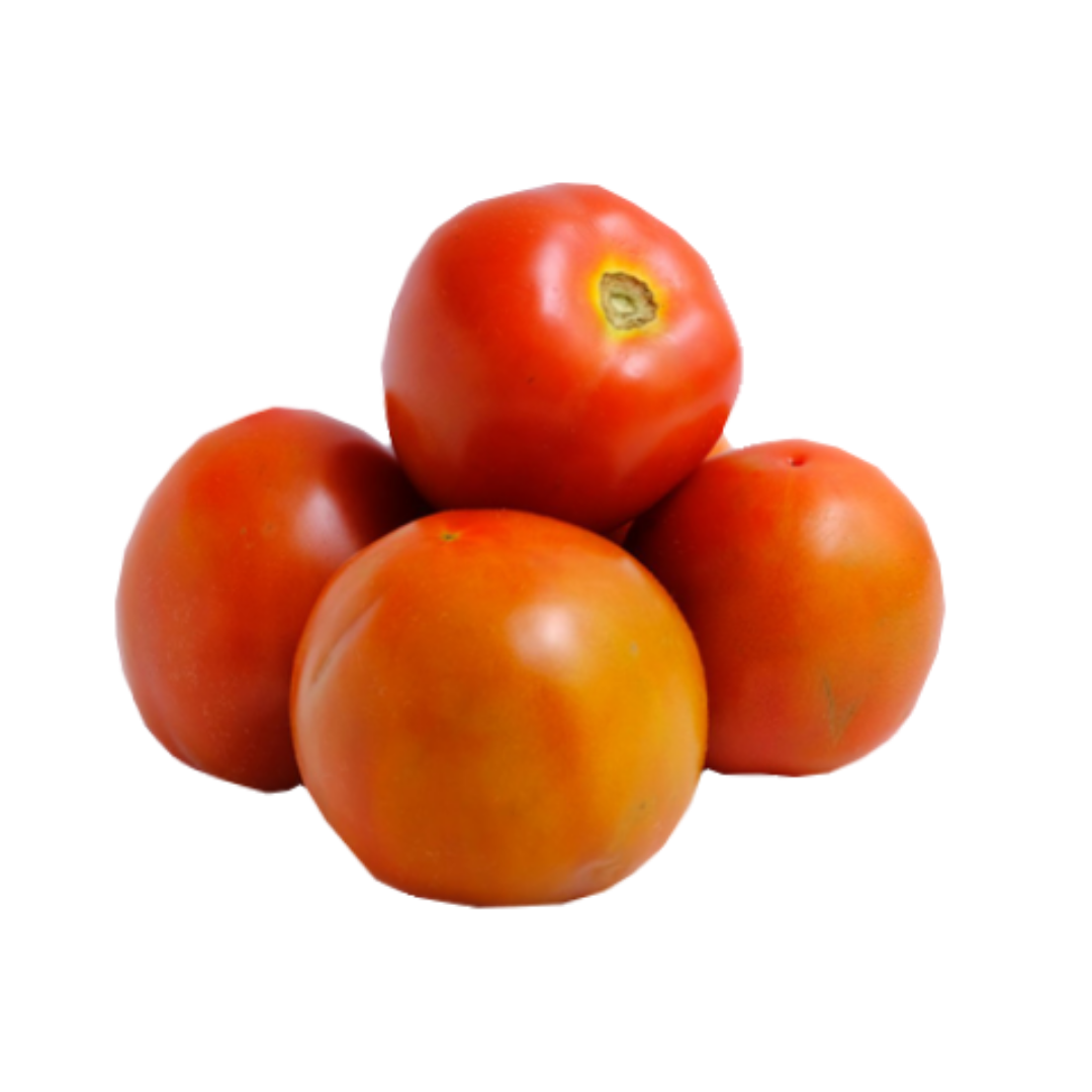 TOMATE CHONTO