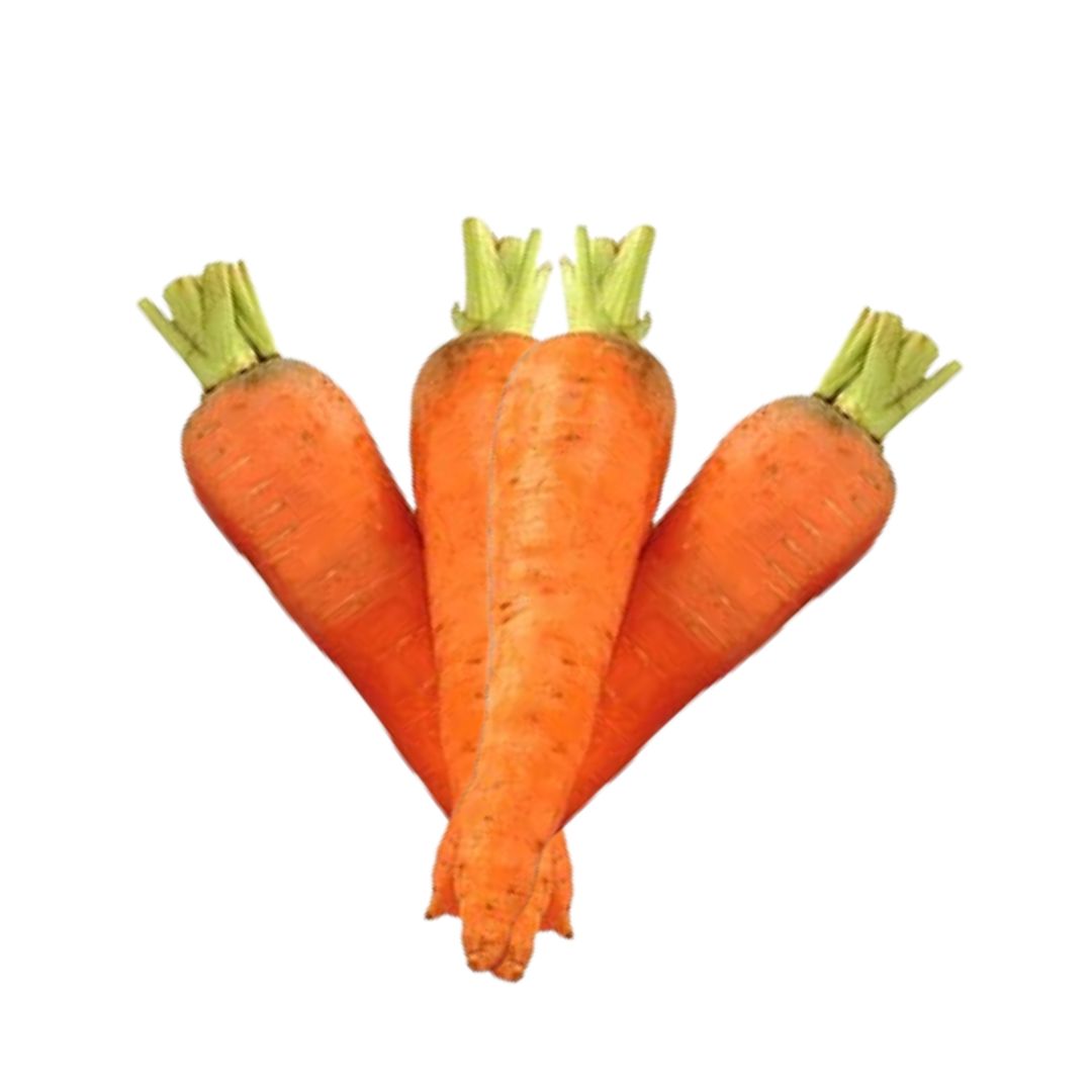 ZANAHORIA