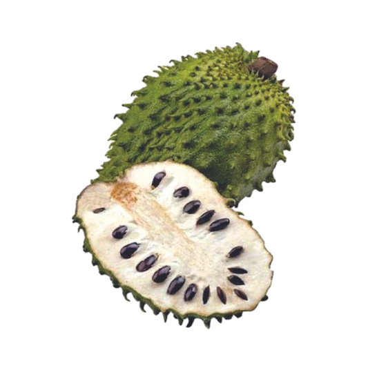GUANABANA