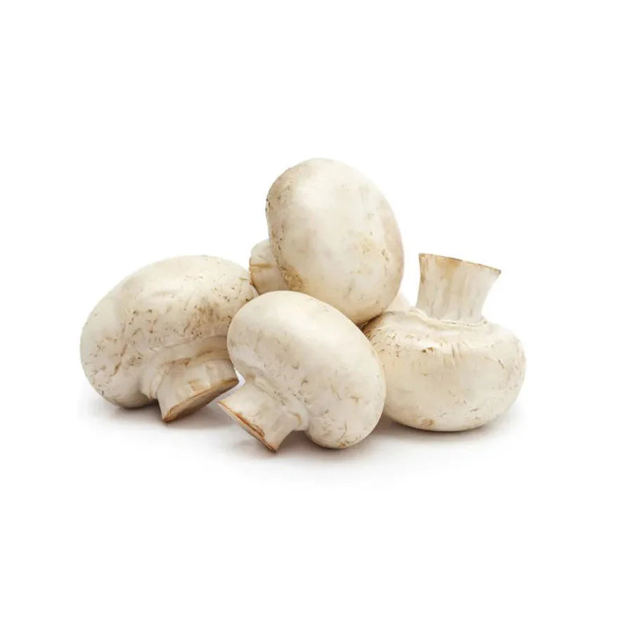 CHAMPIÑON