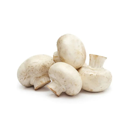 CHAMPIÑON