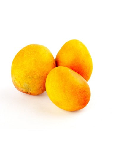 MANGO COMUN